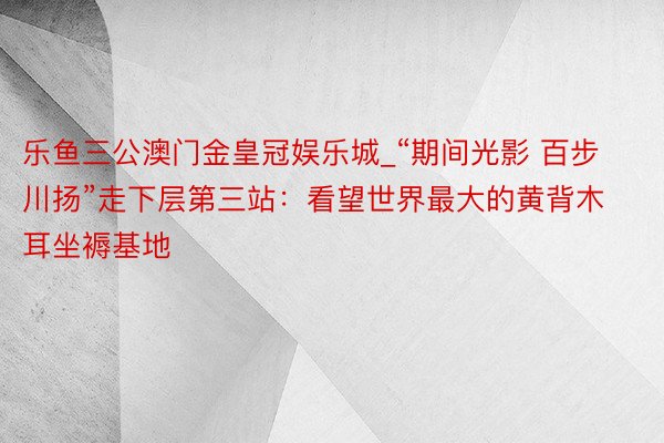 乐鱼三公澳门金皇冠娱乐城_“期间光影 百步川扬”走下层第三站：看望世界最大的黄背木耳坐褥基地