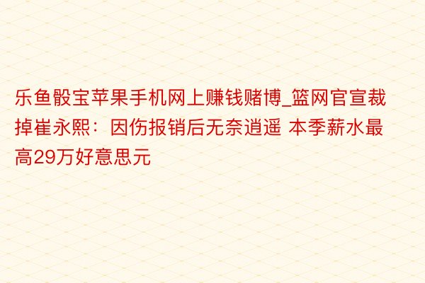 乐鱼骰宝苹果手机网上赚钱赌博_篮网官宣裁掉崔永熙：因伤报销后无奈逍遥 本季薪水最高29万好意思元