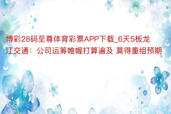 博彩28码至尊体育彩票APP下载_6天5板龙江交通：公司运筹帷幄打算遍及 莫得重组预期